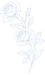 Serenity Rose - Blue Rose Illustration