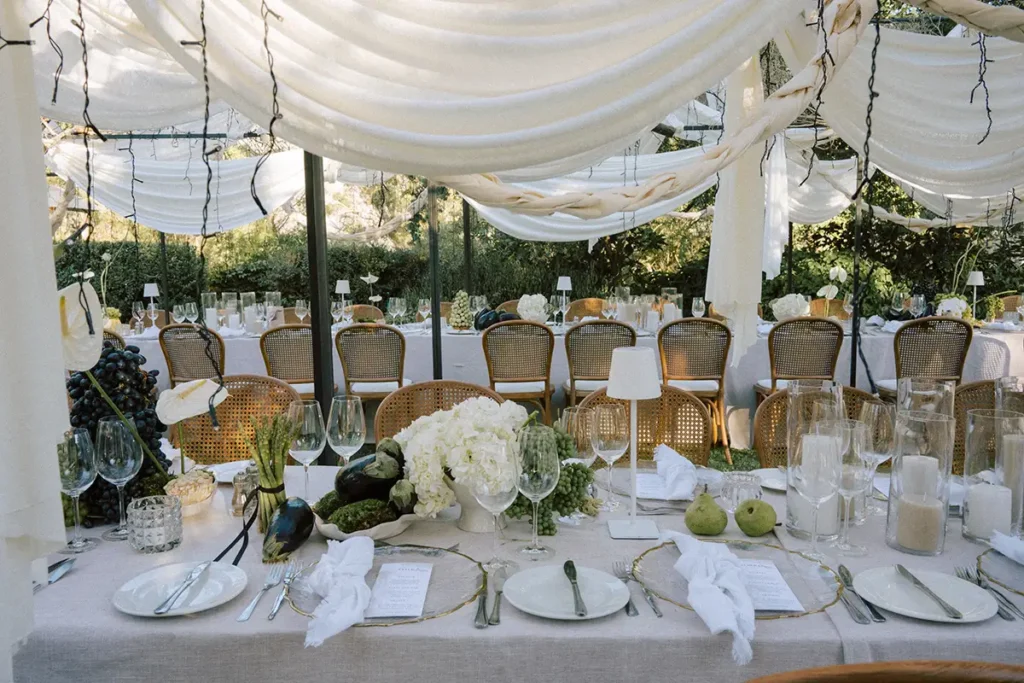 jeannere and gerhard wedding bartholomeus klip 54